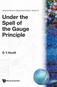 bokomslag Under The Spell Of The Gauge Principle