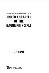 bokomslag Under The Spell Of The Gauge Principle