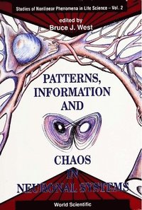 bokomslag Patterns, Information And Chaos In Neuronal Systems