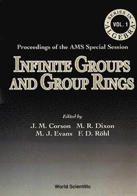 bokomslag Infinite Groups And Group Rings - Proceedings Of The Ams Special Session