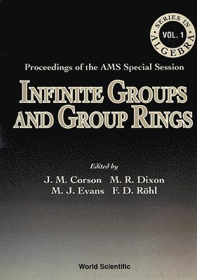 bokomslag Infinite Groups And Group Rings - Proceedings Of The Ams Special Session