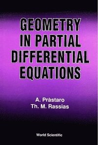 bokomslag Geometry In Partial Differential Equations