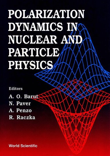 ACZKAL PAVER PENZO RACZKAL A O BARUT, A O Barut, N Paver, Penzo, R Raczka - POLARIZATION DYNAMICS IN NUCLEAR AND PARTICLE PHYSICS - PROCEEDINGS OF THE 2ND ADRIATICO RESEARCH CONFERENCE, Inbunden