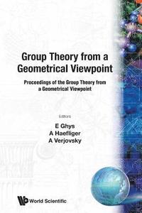 bokomslag Group Theory From A Geometrical Viewpoint