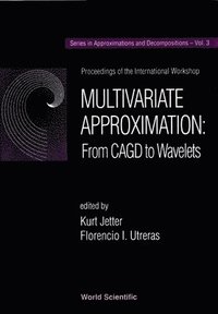 bokomslag Multivariate Approximation : From Cagd To Wavelets - Proceedings Of The International Workshop
