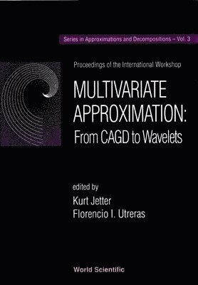bokomslag Multivariate Approximation : From Cagd To Wavelets - Proceedings Of The International Workshop