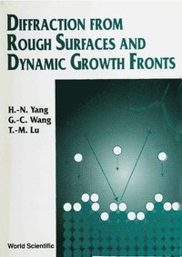 bokomslag Diffraction From Rough Surfaces And Dynamic Growth Fronts