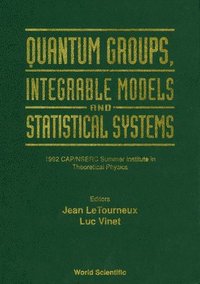 bokomslag Quantum Groups, Integrable Models And Statistiacal Systems