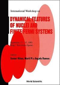 bokomslag Dynamical Features Of Nuclei And Finite Fermi Systems - Proceedings Of The International Workshop