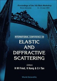 bokomslag Elastic And Diffractive Scattering - Proceedings Of The International Conference On Vth Blois Workshop