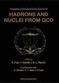 bokomslag Hadrons And Nuclei From Qcd - Proceedings Of The International School-seminar '93