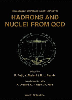 bokomslag Hadrons And Nuclei From Qcd - Proceedings Of The International School-seminar '93