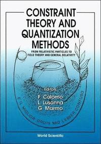 bokomslag Constraint Theory And Quantization Methods: From Relativistic Particles To Field Theory And General Relativity