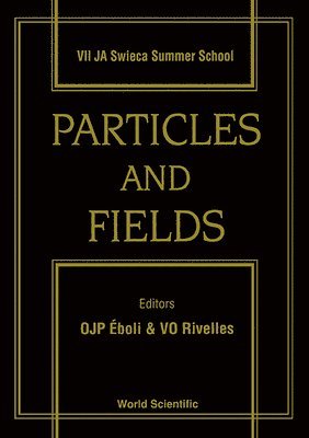 RIELLES O RIVELLES RIELLES O J P EBOLI, OJP Éboli, VO Rivelles - PARTICLES AND FIELDS - PROCEEDINGS OF THE VII JA SWIECA SUMMER SCHOOL, Inbunden