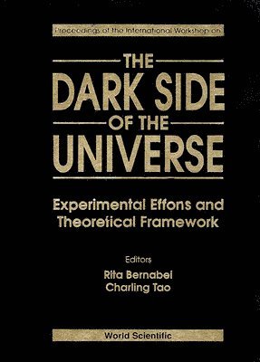 bokomslag Dark Side Of The Universe, The: Experimental Efforts And Theoretical Framework - Proceedings Of International Workshop