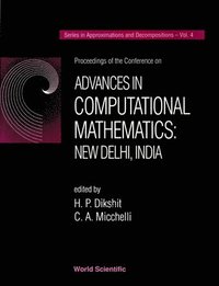 bokomslag Advances In Computational Mathematics: New Delhi, India - Proceedings Of The Conference