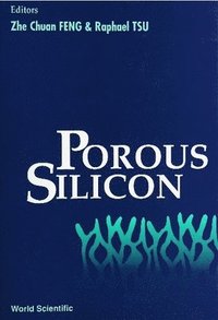bokomslag Porous Silicon