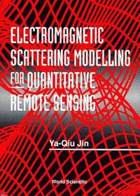 bokomslag Electromagnetic Scattering Modelling For Quantitative Remote Sensing
