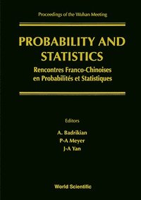 bokomslag Probability And Statistics: French-chinese Meeting - Proceedings Of The Wuhan Meeting
