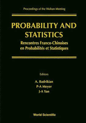 bokomslag Probability And Statistics: French-chinese Meeting - Proceedings Of The Wuhan Meeting