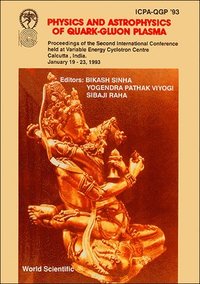 bokomslag Physics And Astrophysics Of Quark-gluon Plasma - Proceedings Of The 2nd International Conference