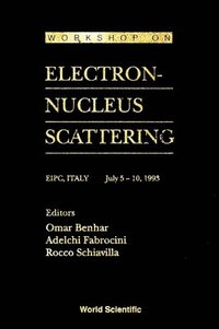 bokomslag Electron-nucleus Scattering - Proceedings Of The Workshop