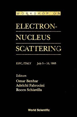 bokomslag Electron-nucleus Scattering - Proceedings Of The Workshop