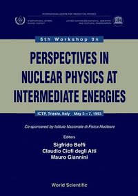 bokomslag Perspectives In Nuclear Physics At Intermediate Energy - Proceedings Of The 6th Workshop