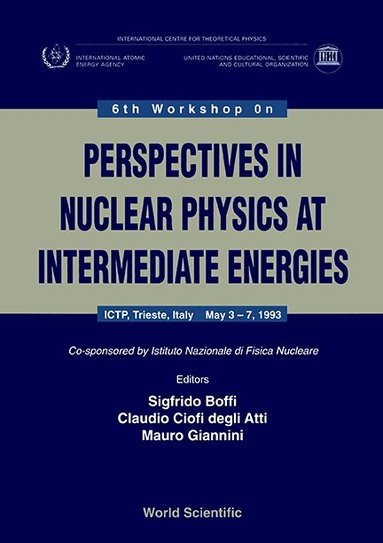 GIANNINI C DEGLI ATTI ATTI GIAN S BOFFI, Sigfrido Boffi, Claudio Ciofi degli Atti, Mauro Giannini - PERSPECTIVES IN NUCLEAR PHYSICS AT INTERMEDIATE ENERGY - PROCEEDINGS OF THE 6TH WORKSHOP, Inbunden