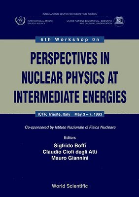 bokomslag Perspectives In Nuclear Physics At Intermediate Energy - Proceedings Of The 6th Workshop