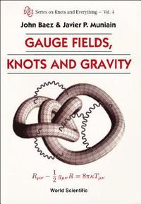 bokomslag Gauge Fields, Knots And Gravity