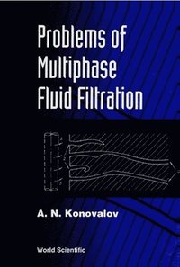 bokomslag Problems Of Multiphase Fluid Filtration
