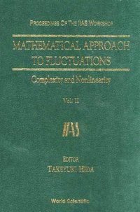 bokomslag Mathematical Approach To Fluctuations: Complexity And Nonlinearity, Vol. Ii - Proceedings Of The Iias Workshop