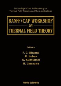 bokomslag Thermal Field Theory: Banff/cap Workshop On - Proceedings Of The 3rd Workshop On Thermal Field Theories And Their Applications