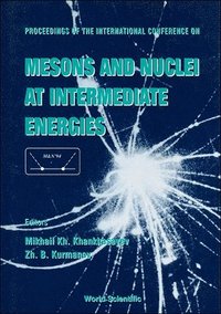 bokomslag Mesons And Nuclei At Intermediate Energies - Proceedings Of The International Conference