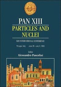bokomslag Pan Xiii: Particles And Nuclei - Proceedings Of The Xiii International Conference