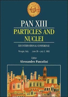 bokomslag Pan Xiii: Particles And Nuclei - Proceedings Of The Xiii International Conference