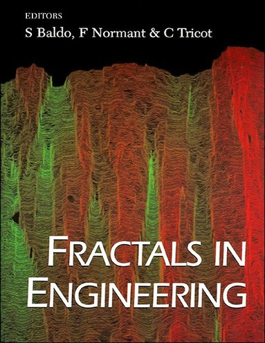 TRIOT NORMANT TRICOT S BALDO, S Baldo, F Normant, C Trico - FRACTALS IN ENGINEERING - PROCEEDINGS OF THE CONFERENCE ON FRACTALS IN ENGINEERING 94, Inbunden