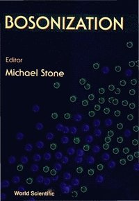 bokomslag Bosonization