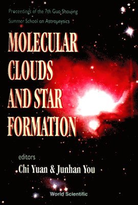 bokomslag Molecular Clouds And Star Formation - Proceedings Of The 7th Guo Shoujing Summer School On Astrophysics