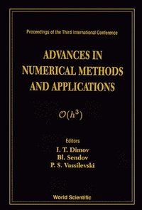 bokomslag Advances In Numerical Methods And Applications - Proceedings Of The Third International Conference