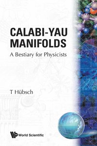 bokomslag Calabi-yau Manifolds: A Bestiary For Physicists
