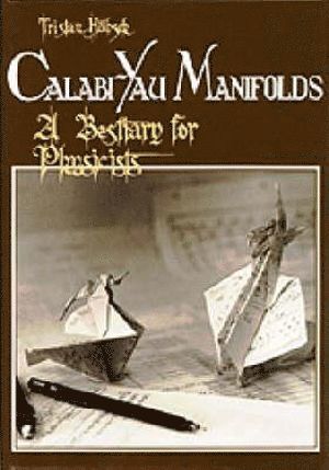 bokomslag Calabi-yau Manifolds: A Bestiary For Physicists