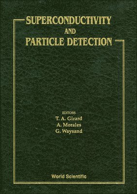 bokomslag Superconductivity And Particle Detection - Proceedings Of The International Workshop