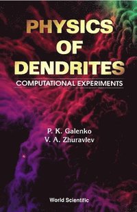 bokomslag Physics Of Dendrites: Computational Experiments