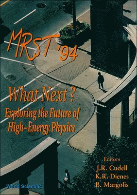 bokomslag What Next? Exploring The Future Of High-energy Physics - Proceedings Of The 16th Annual Montreal-rochester-syracuse-toronto (Mrst) Meeting