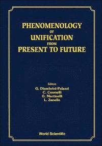 bokomslag Phenomenology Of Unification From Present To Future