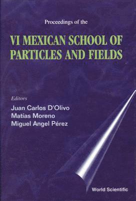 PEREZ MORENO A PEREZ PEREZ J C D'OLIVO, Juan Carlos D'olivo, Miguel Angel Perez, Matias Moreno, Juan Carlos D'Olivo - Particles And Fields - Proceedings Of The Vi Mexican School, Inbunden
