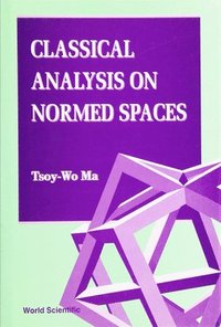 bokomslag Classical Analysis On Normed Spaces