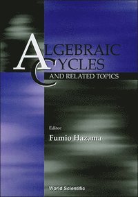 bokomslag Algebraic Cycles And Related Topics